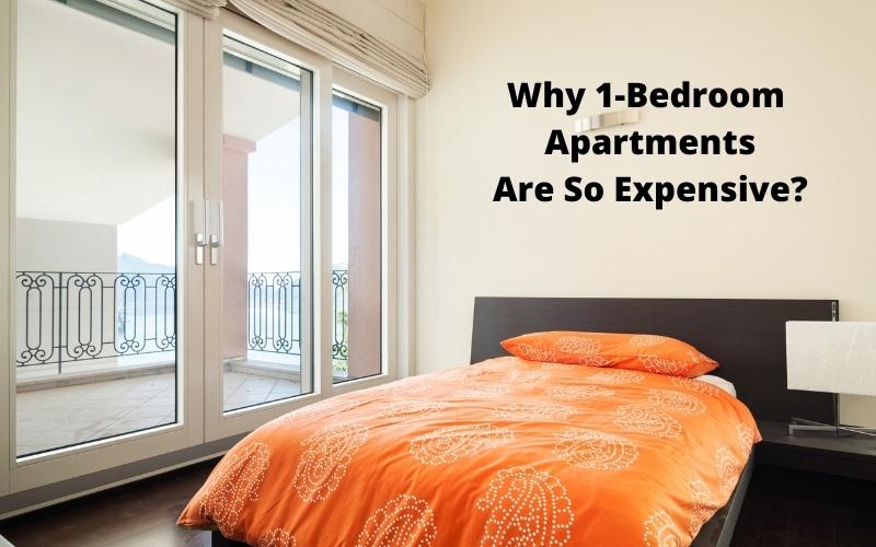 Read more about the article Why are One Bedroom Apartments So Expensive for Rent?